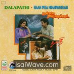 Naan Pesa Ninaipathellam Movie Poster - High-Quality FLAC Songs Download